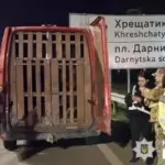 У Києві затримали водія, який віз дев’ять плямистих оленів