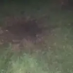 У Києві чоловік кинув гранату в житловий будинок