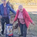 Загибла від ракетного удару в Миколаєві жінка дала притулок під час війни 18 собакам
