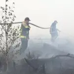 Другу добу рятувальники гасять масштабну лісову пожежу на півночі Рівненщини