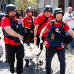 У Харкові кількість поранених у результаті удару РФ зросла до 66, з них 6 дітей