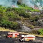 Через спеку в Україні спалахнули масштабні пожежі, найбільше страждає Одещина