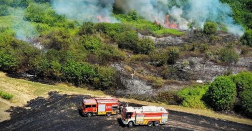 Через спеку в Україні спалахнули масштабні пожежі, найбільше страждає Одещина