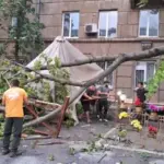 Буревій в Одесі – повалені дерева, потрощені автівки, а в морі можуть дрейфувати міни
