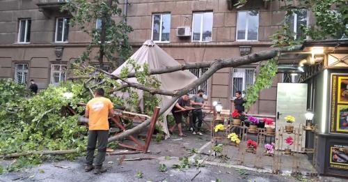 Буревій в Одесі – повалені дерева, потрощені автівки, а в морі можуть дрейфувати міни