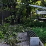 У Київському зоопарку буревій зруйнував частину вольєрів та повалив дерева