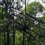 У Києві сталася пожежа на ВДНГ, згорів величезний динозавр