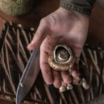 Альтернатива сонцю: 6 продуктів з високим вмістом вітаміну D