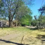 Росіяни вдарили дронами по будівлі ТЦК та конюшні в Одесі, – соцмережі