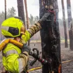 У Харківській області другу добу гасять масштабна пожежа – горить понад 100 га лісу