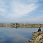 Окупанти планують спустити воду у водосховище на Донеччині: наближається екокатастрофа