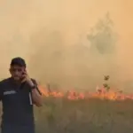 Острів Хортиця охопили пожежі, полум’я швидко поширюється