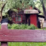 Дача без клопоту: як зробити так, щоб витрачати менше часу на город і сад і більше відпочивати