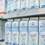 Рослинне молоко – здоровий вибір або марнування грошей: що приховує упаковка
