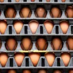 Ціни на продукти в Україні зрівнялись з європейськими, – Нацбанк