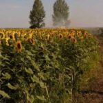 Українські військові відкинули росіян у двох областях — DeepState