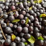 Здоров'я після 50: дієтолог назвала 6 ключових продуктів для активного життя