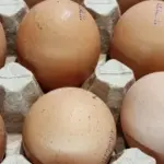 Забудьте про дорогі добавки: простий продукт на кухні зберігає секрет міцних кісток та ясного розуму