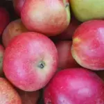 Чи не знаєте, що з'їсти на сніданок? Тільки цей продукт додасть вам бадьорості на весь день, навіть якщо ви вже пенсіонер