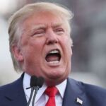 Трамп про зустріч із Путіним та Зеленським для припинення війни: «Нам потрібно зібрати їх разом і зробити це»