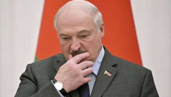 «Життя у своєму власному світі»: Зеленський розкритикував «гарну пропозицію» Лукашенка щодо війни