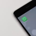 Довгоочікувана функція з'явилася у WhatsApp: тепер спілкуватися буде ще простіше