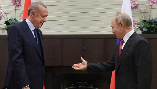 ШОС у Китаї: Ердоган обговорив з Путіним війну в Україні