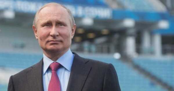 Путін, як загнаний в глухий кут гризун: американський конгресмен про російську небезпеку для НАТО.