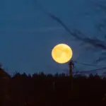 Китай назвав терміни першої висадки своїх космонавтів на Місяць