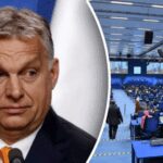 Венгрия препятствует заявлению Евросоюза по поводу роли Беларуси в “гибридной войне”, – Politico