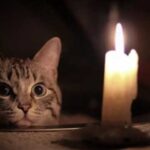 Чому рахунки за електрику не меншають при відключеннях: пояснення від Yasno.