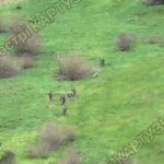 Армієць заявив про важку обстановку біля Гуляйполя