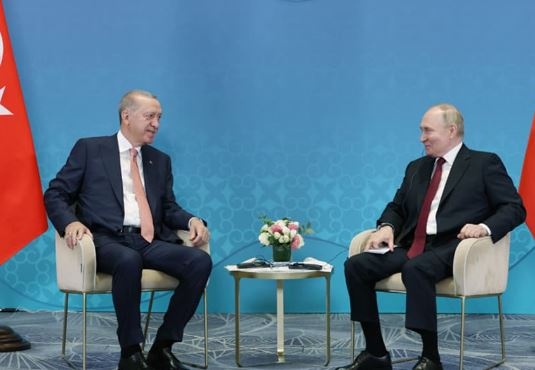 Путін в бесіді з Ердоганом схвалив початковий варіант “мирної ініціативи” США.