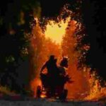 Українська стрічка “Тиха повінь” перемогла на IDFA.