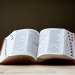 Ключове слово 2025 року за версією Кембриджського словника.