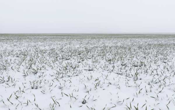 В Україну насувається холод: очікується суттєве зниження температури.