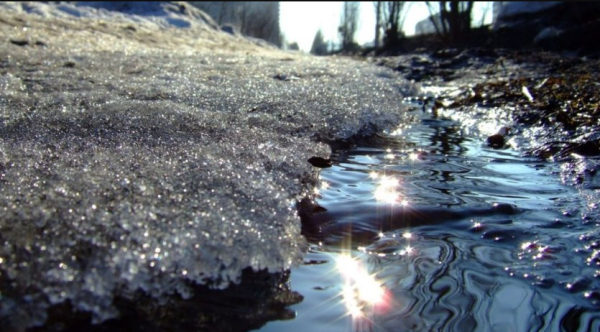 Опади: сніг, дощ і туман 22 лютого