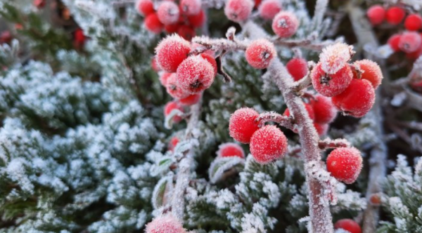В Україну прийдуть холоди та сніг: прогноз опадів на сьогодні