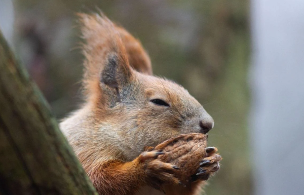 В Україні потеплішає: передбачення на 27 лютого