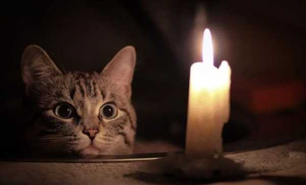 Директор Yasno пояснив, коли покращиться ситуація з електропостачанням в оселях українців