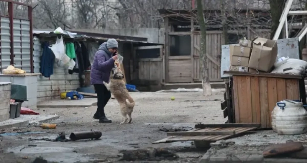 Російський удар по Запоріжжю: постраждав притулок для собак.