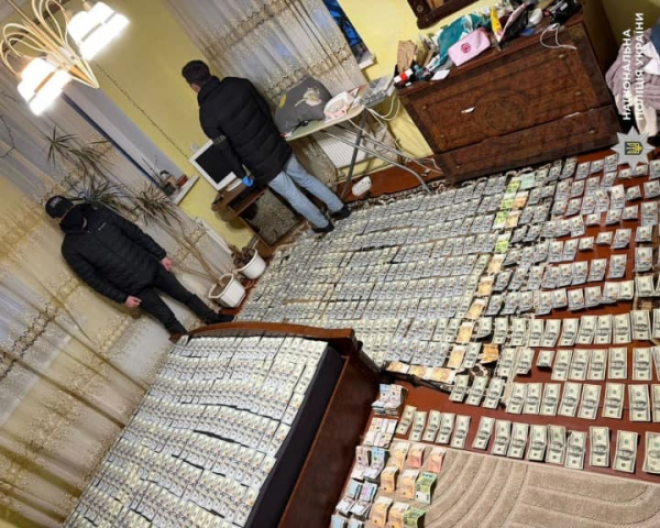 Лікарі-родичі: матір та син – викриті у фальшивих інвалідностях, виявлено великі валютні суми.