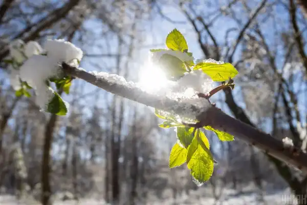 Весняне рівнодення: заборони дня