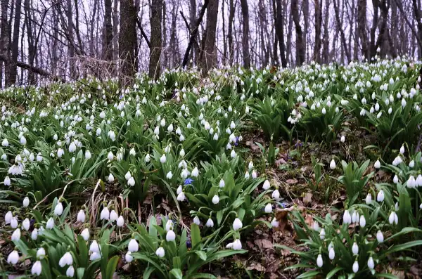 Тепло повертається: українцям обіцяють гарну погоду цього тижня, – метеоролог.