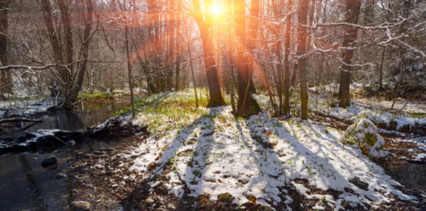Квітнева прохолода: прогноз опадів та снігу з дощем