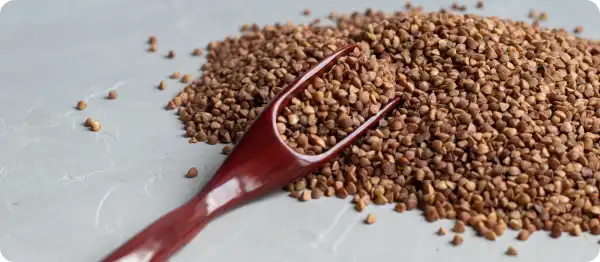 Чому росте вартість гречки: ситуація з цінами на улюблену українську крупу