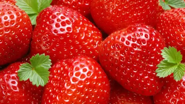 Достатньо пропозицій: українці зможуть придбати недорогу полуницю цього сезону