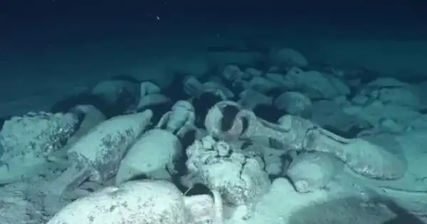 Давня римська катастрофа: відкриття про кораблебудування 2000-річної давнини