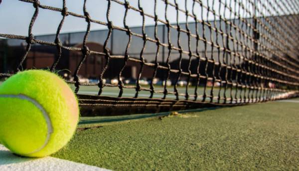 WTA Ранжування: Стародубцева покращила свій найкращий показник, Світоліна, Костюк та…