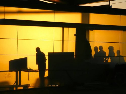 Як нестандартно використати рентгенівські знімки? Х'ю Терві та його фантазії